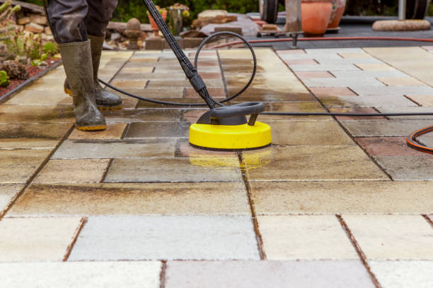 Best Animal Enclosure Cleaning  in Pensacola Station, FL